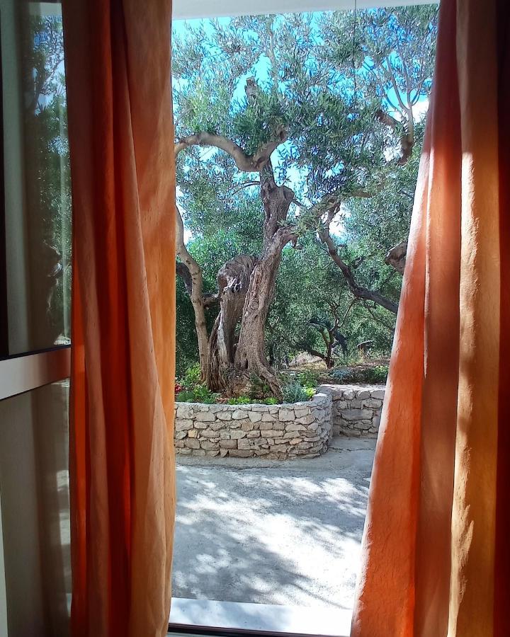 דירות טוצפי Casa Del Olivo מראה חיצוני תמונה