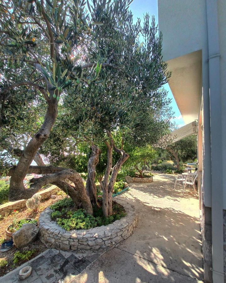 דירות טוצפי Casa Del Olivo מראה חיצוני תמונה